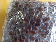 ��γ���λҾ�Ʀ